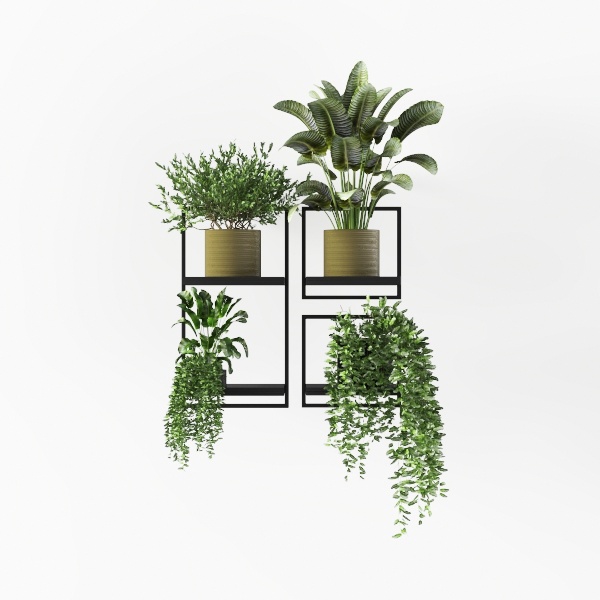 wall shelf-Hanging Greens