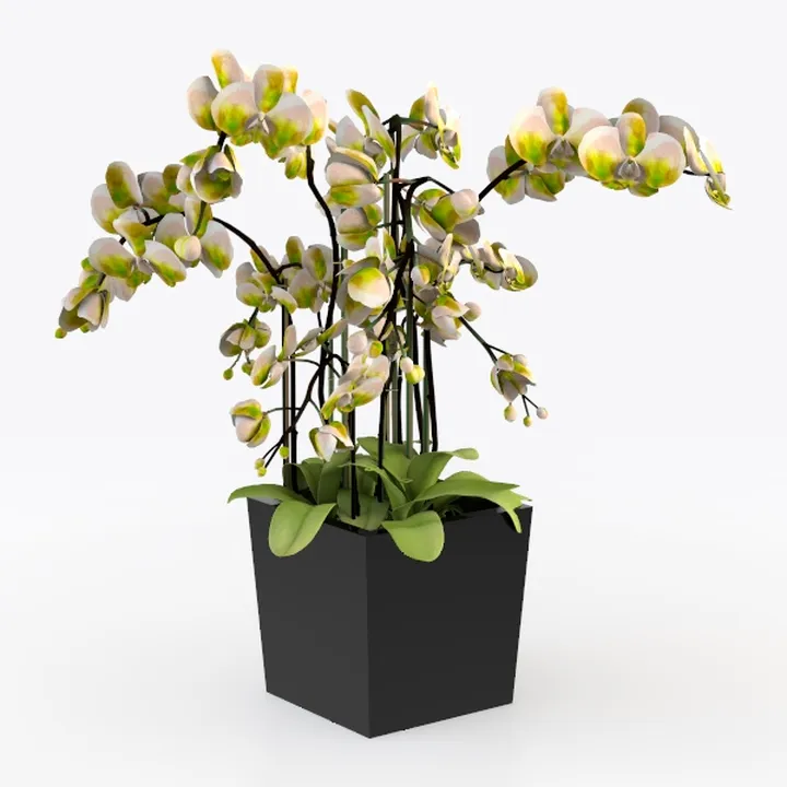 Artificial Camellia Tree 39", 2 Pack Artificial Pl