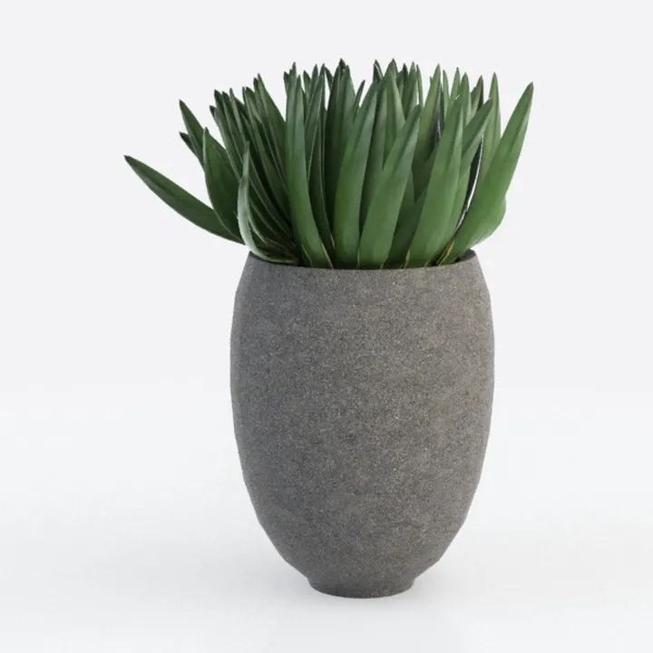 Minimalist Concrete Potted Succulent Plant 3D Model