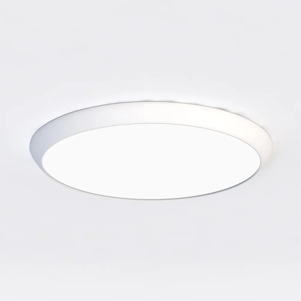 Circle Ultrathin Ceiling Light Fixture Black