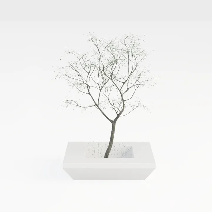 Shadow-Office decoration