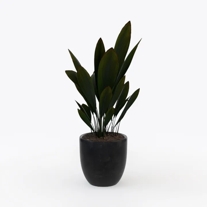 Minimalist Concrete Potted Green Leaf Plant 3D Model