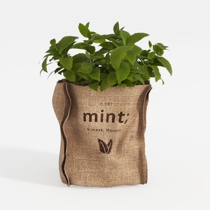 potted plant-Green Living Decor