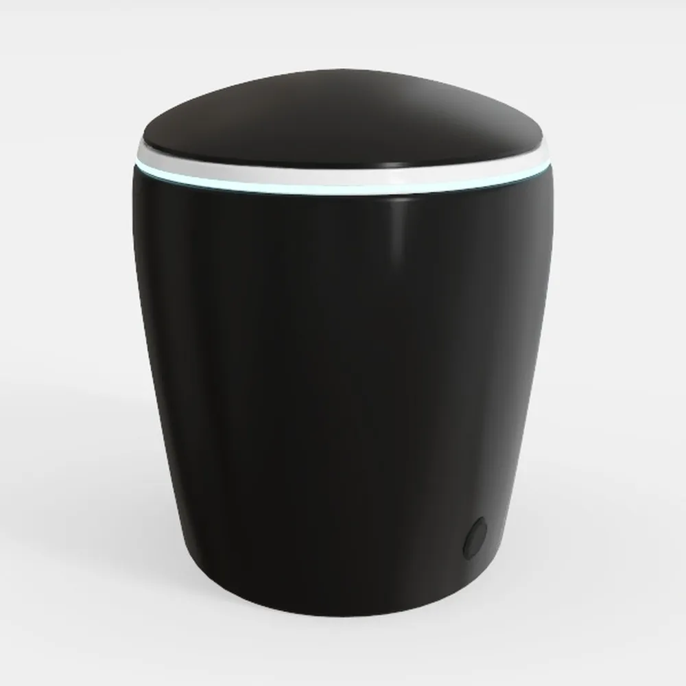 WinZo Modern Smart Toilet With Bidet Built-in