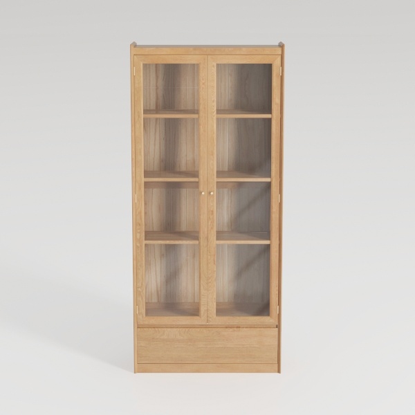 bookcase-Youthful Comrades