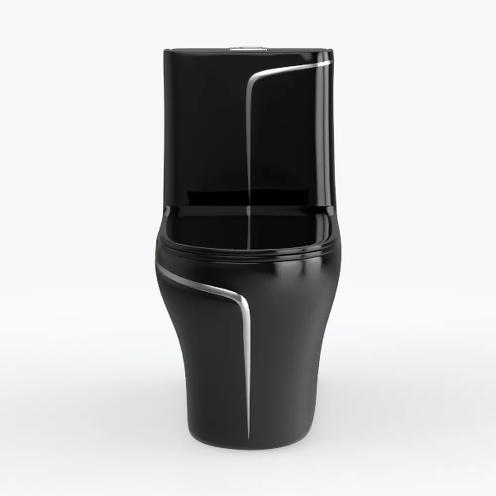 Eridanus Elongated One Piece Toilet with Powerful