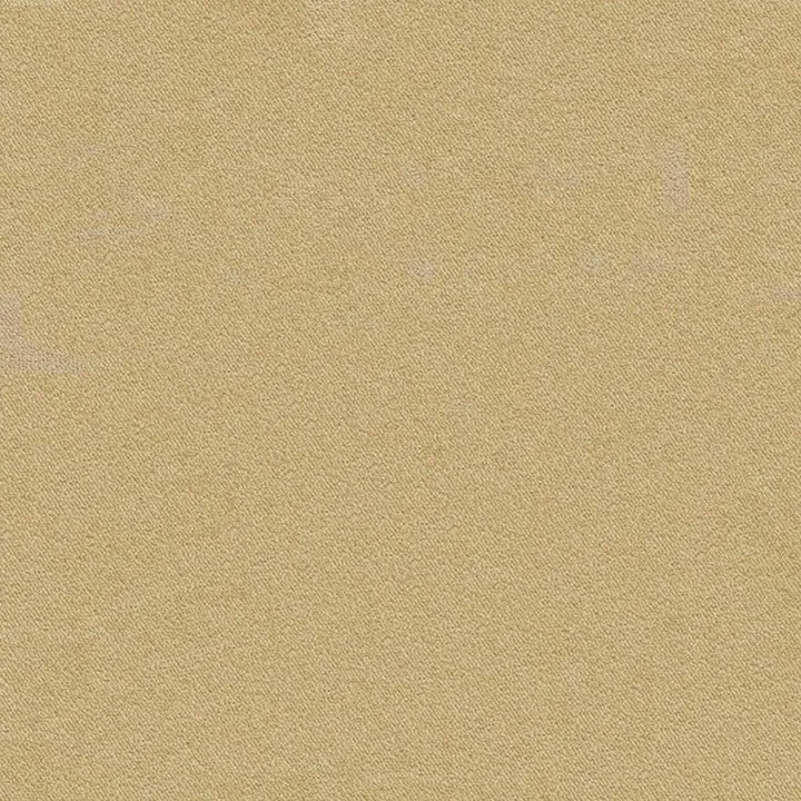 Wall-to-wall Carpet 40
