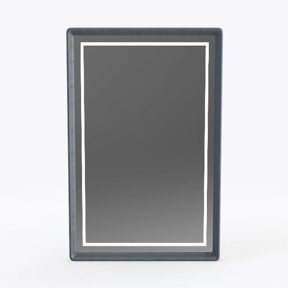 Deborah 24 in. W x 33 in. H Framed Wall Mirror in Dark Gray