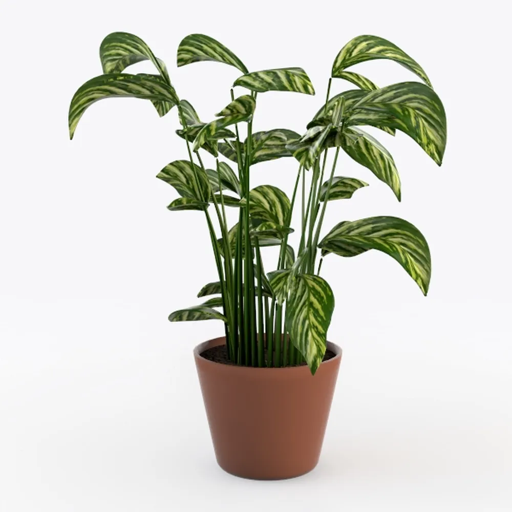 D'vine Dev Terracotta Pots for Plants, 4.2 Inch 5