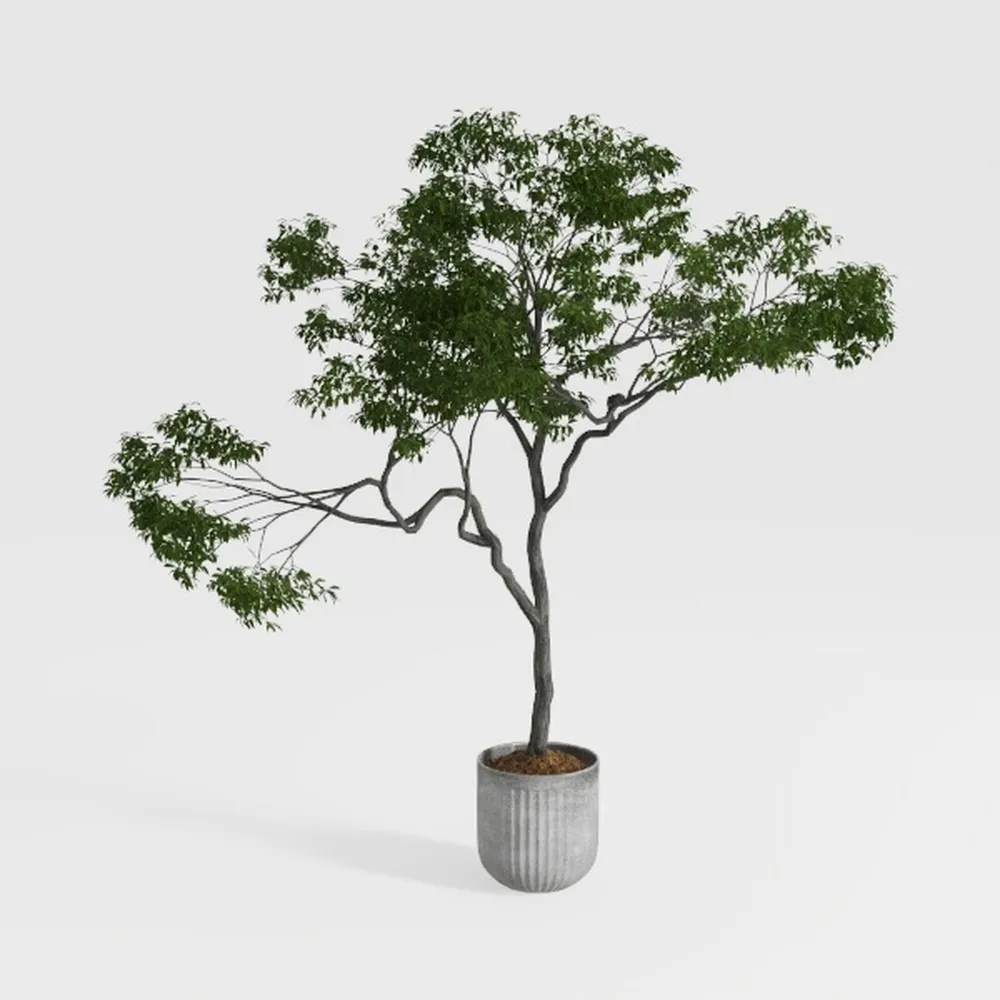 6ft Artificial Eucalyptus Tree in Plastic Nursery