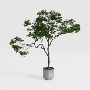 6ft Artificial Eucalyptus Tree in Plastic Nursery