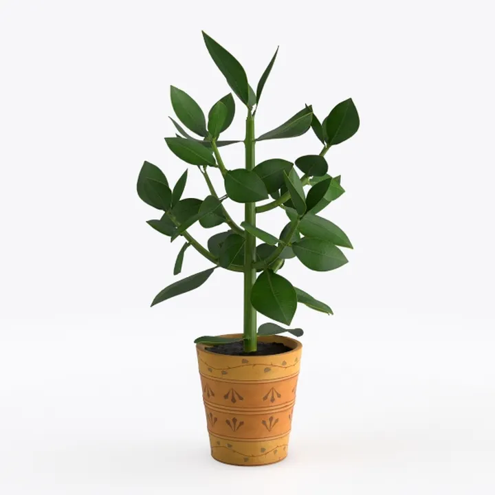 Potted Faux Greenery Plant with Terracotta Pot 3D Model