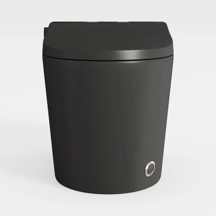 WinZo Smart Toilet,Modern Smart Toilet with Bidet