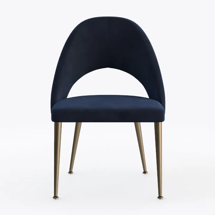 Dining Chairs Set of 2, Upholstered Dining Room