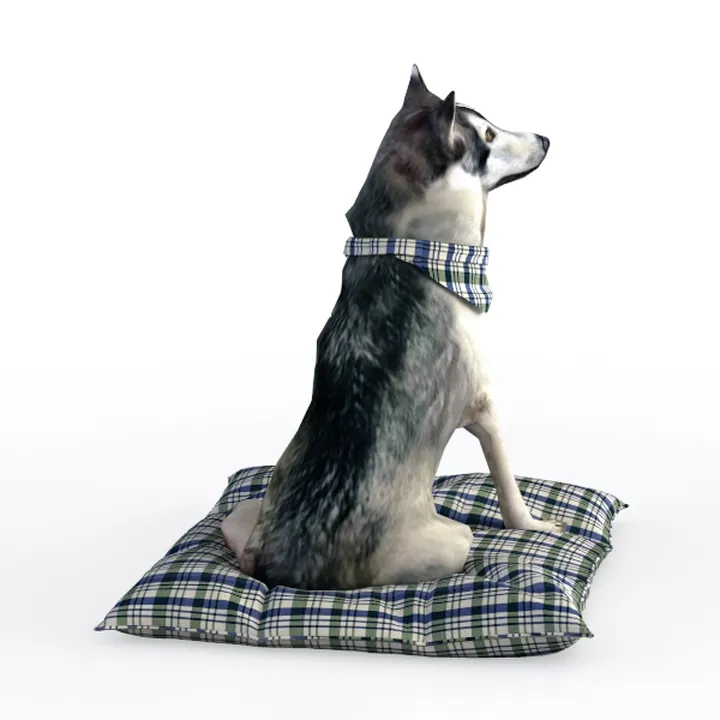 Husky