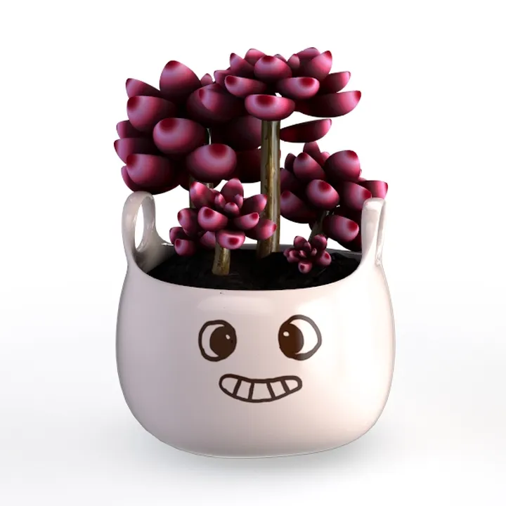 duorouzhiwu0010