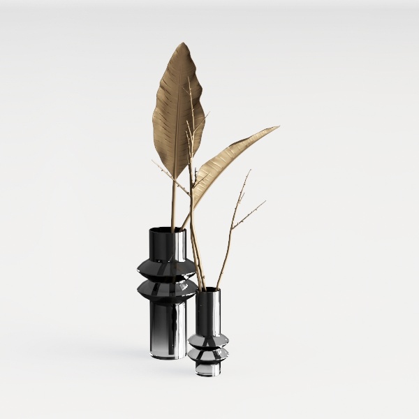 plant-Translucent Home