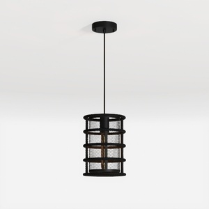 Ins Popular Lighting-ceiling lamp