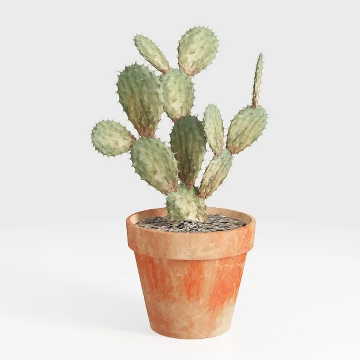 Vintiquewise Water Hyacinth Round Floor Planter 
