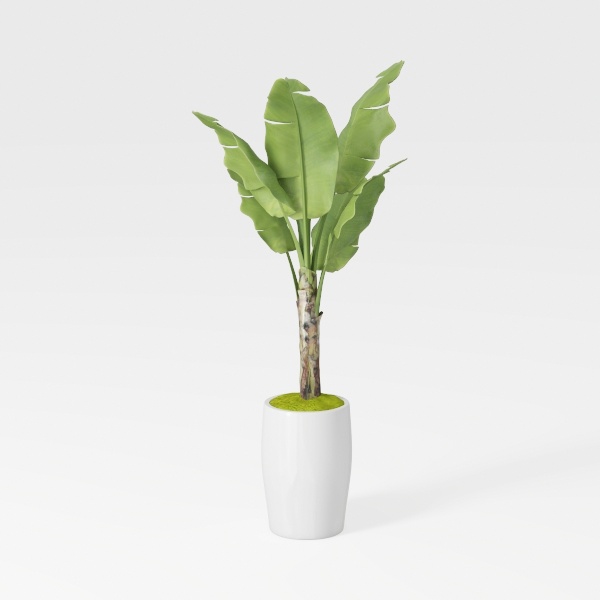 Potted Plant 01 - Outdoor Plant