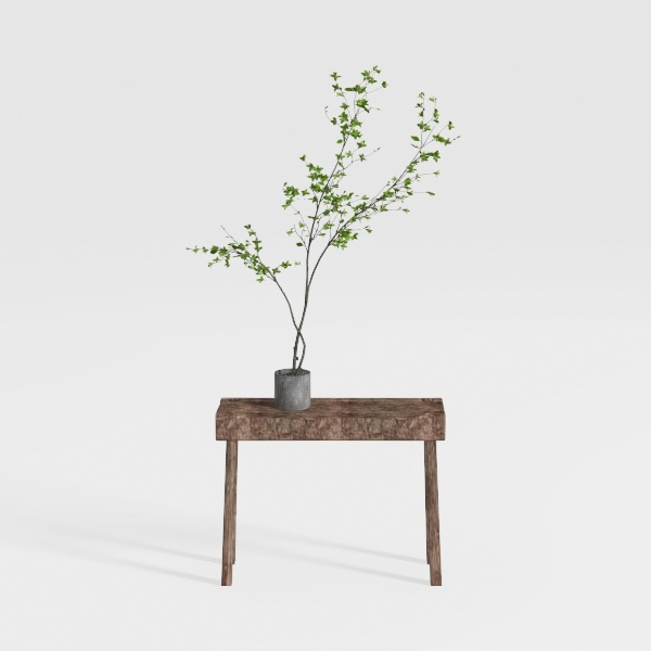side table-Botanical Home