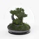 Modern Glass Enclosed Bonsai Terrarium Decorative 3D Model Right 45 Degree View