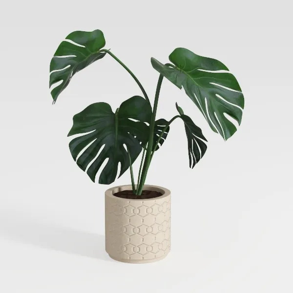 large indoor plant pot White Self Watering Plastic Plant Pot with Bottom-Indoor and Outdoor main image 0