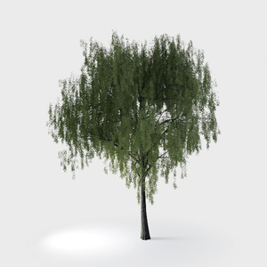 Open-air Cafe-plants 17.max