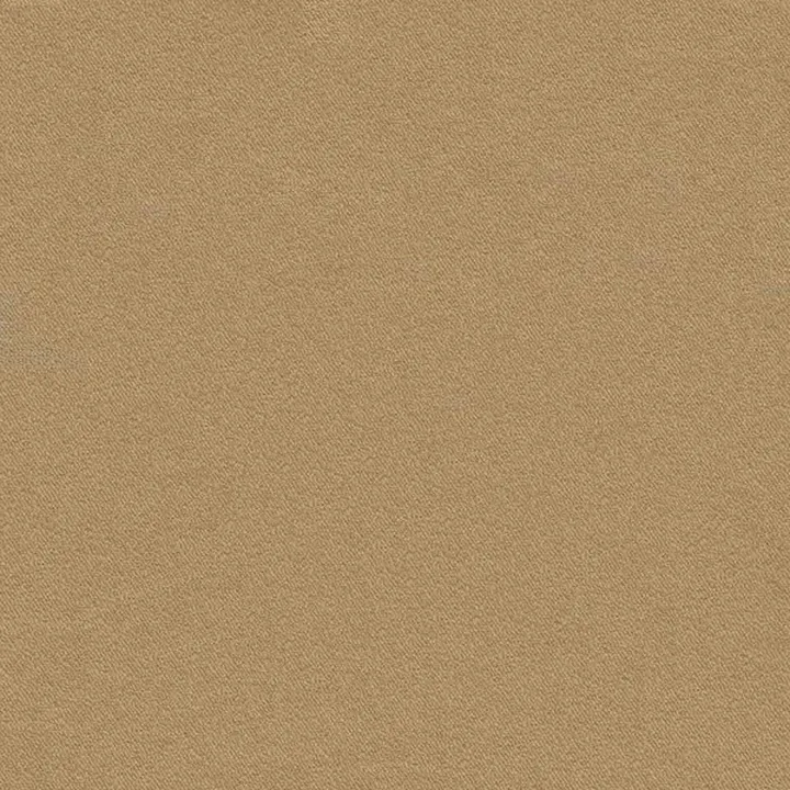 Wall-to-wall Carpet 42