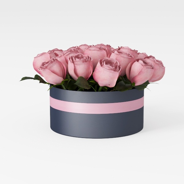 Live Succulents Aeonium &#39;Pink Wich&#39; (4-inch)