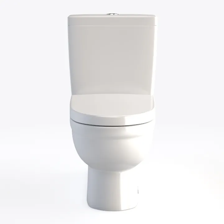 Minimalist White Ceramic One Piece Toilet 3D Model