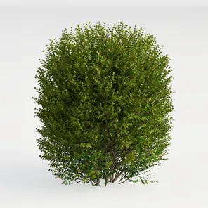 model review img 1