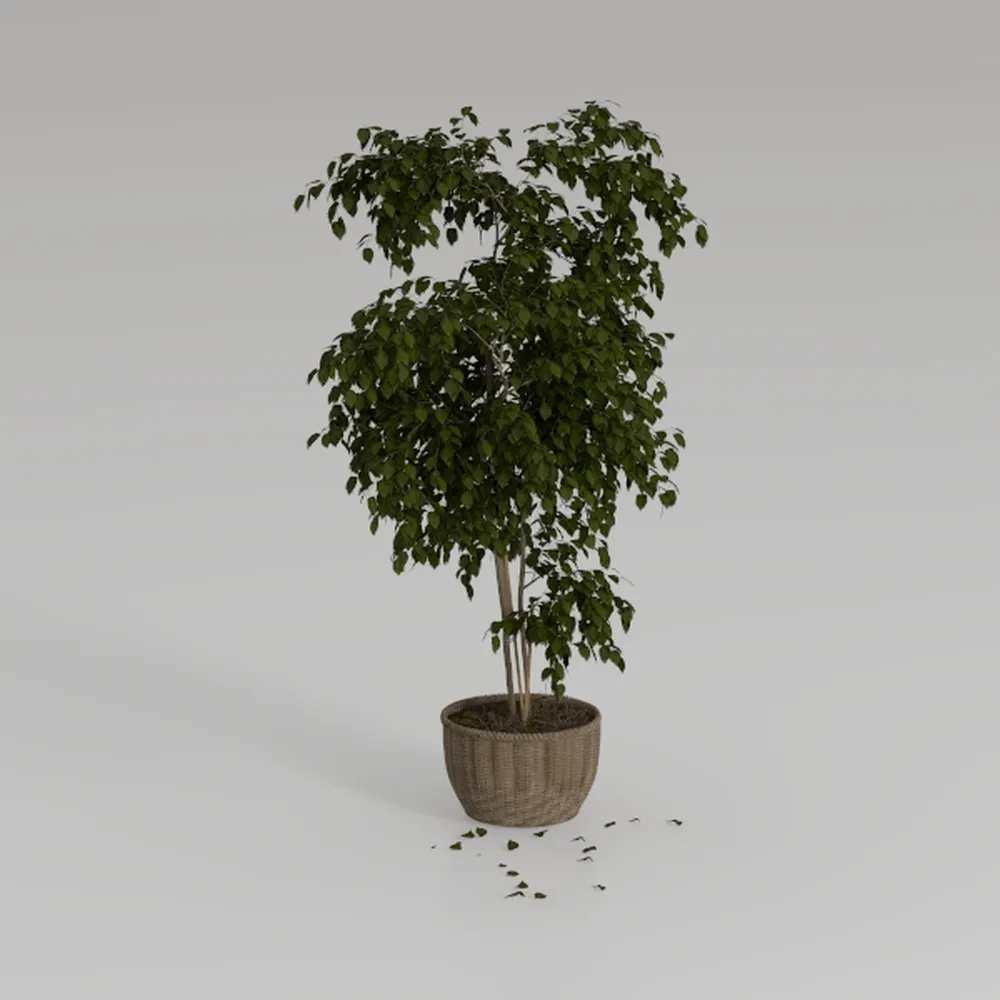 8.5ft Artificial Golden Cane Palm Tree - Large