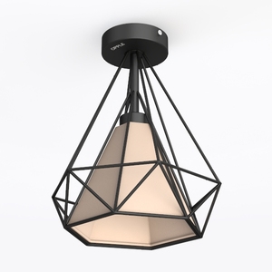 ceiling lamp-Peach Pink