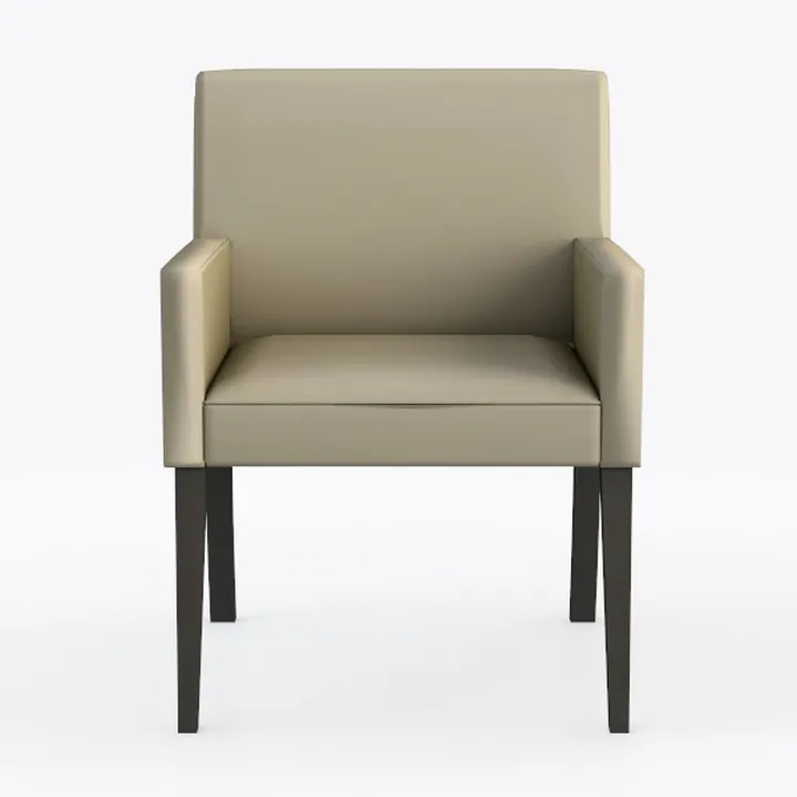 Jerliflyer Accent Chair with Metal Legs Large Soft
