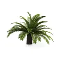 null Left 45 Degree View