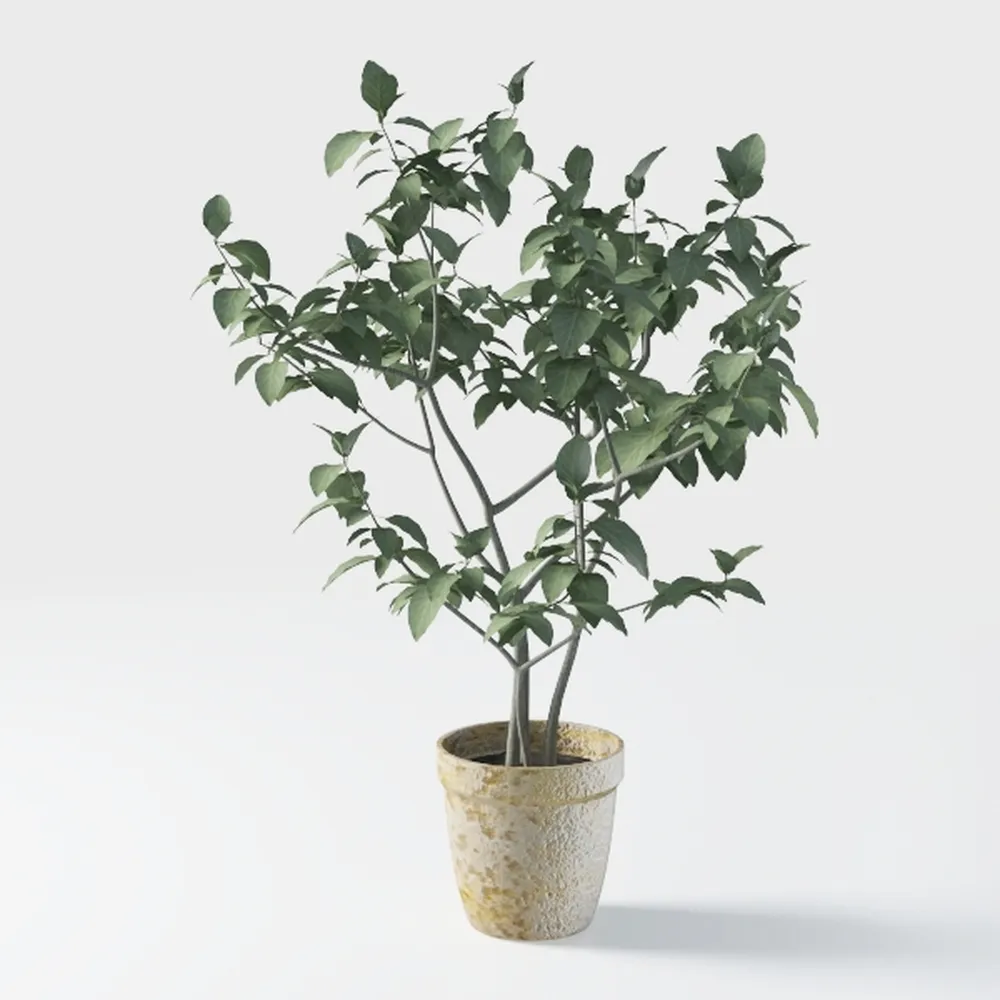 6FT Artificial Olive Tree - Indoor Tall Faux Olive
