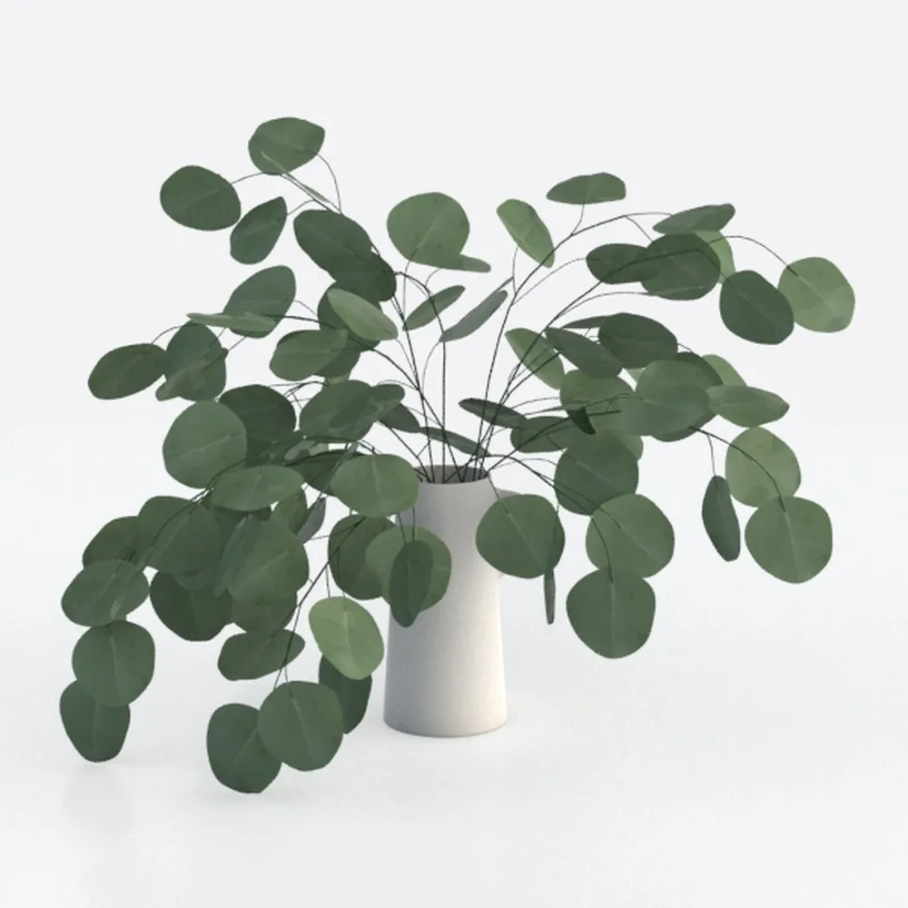 Costa Farms Chinese Evergreen, Live Indoor Plant