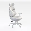 Ergonomic Modern Office Desk Chair with Adjustable Right 45 Degree View