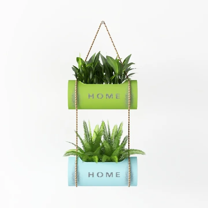 plant-Baby Blue