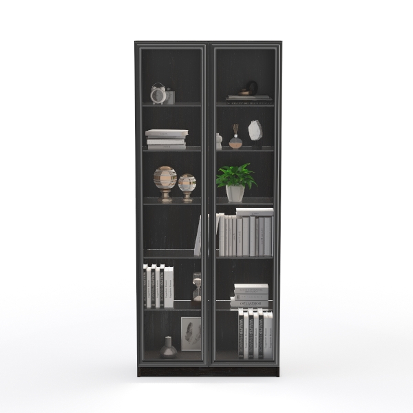 Metal Black Bookshelf with Doors, Tall Bookshelf
