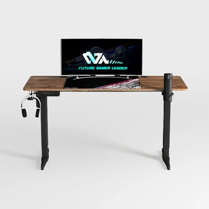 FEZIBO 48 x 24 Inch Height Adjustable Electric