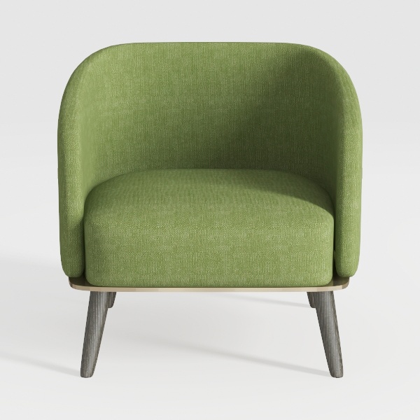 Accent Chairs Set of 2 Mid Century Modern Chair 
