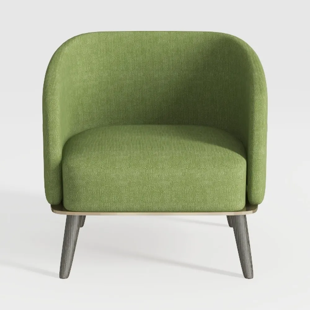 Accent Chairs Set of 2 Mid Century Modern Chair 
