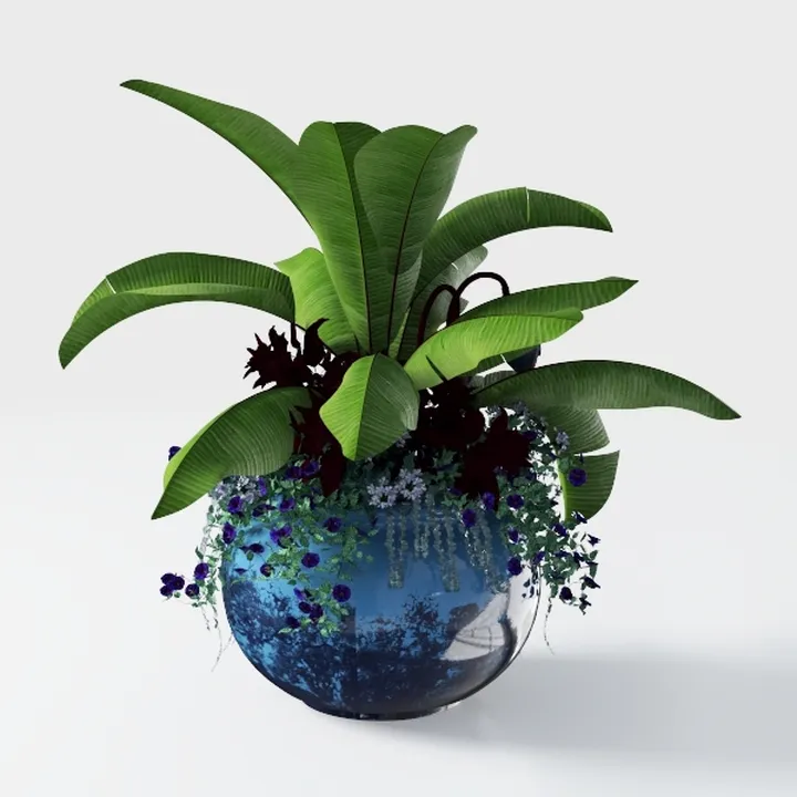 American Plant Exchange Neon Pothos – Live 6-Inch 