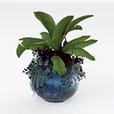 American Plant Exchange Neon Pothos – Live 6-Inch  Right 45 Degree View