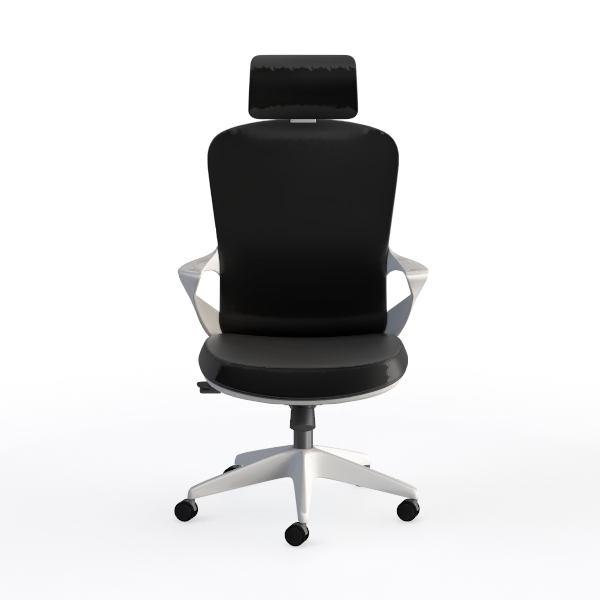 Ergonomic Office Chair with Adjustable Lumbar