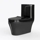 WinZo Elongated One Piece Toilet 3-in Dual Flush Left 45 Degree View