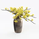 null Right 45 Degree View