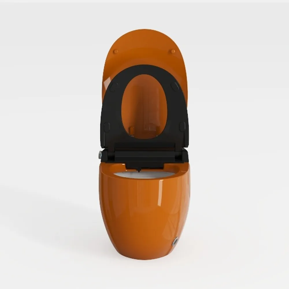Simple Project Modern One-Piece Egg-Shaped Toilet 